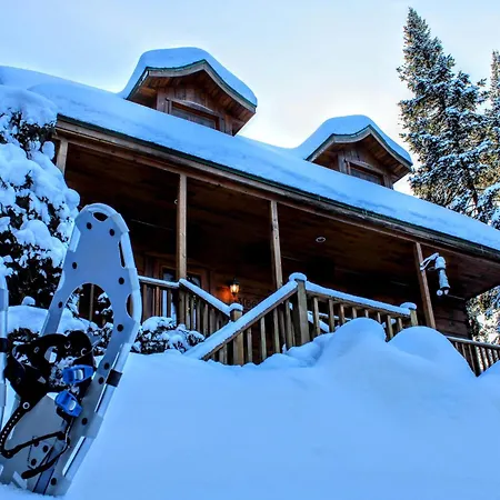 Chalet Des Sources Spa Gazebo Panoramique Saint-Faustin–Lac-Carré Extérieur photo